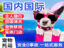 五台山空运地址国际宠物托运 【国